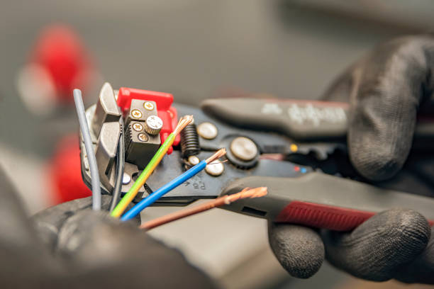 Best Home Electrical Repair  in Homeland Park, SC